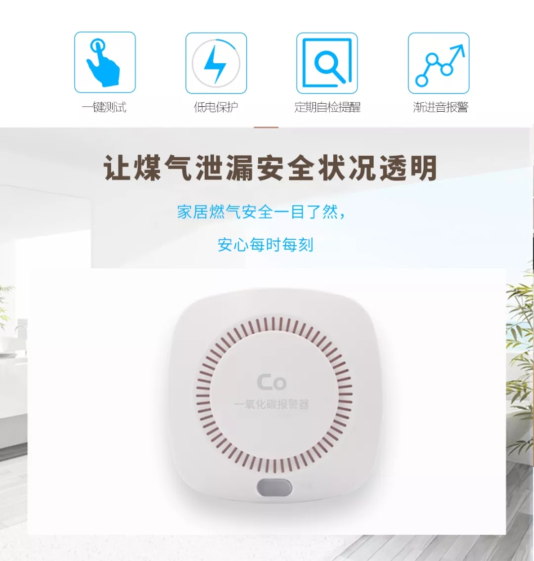 一氧化碳（tàn）報警器